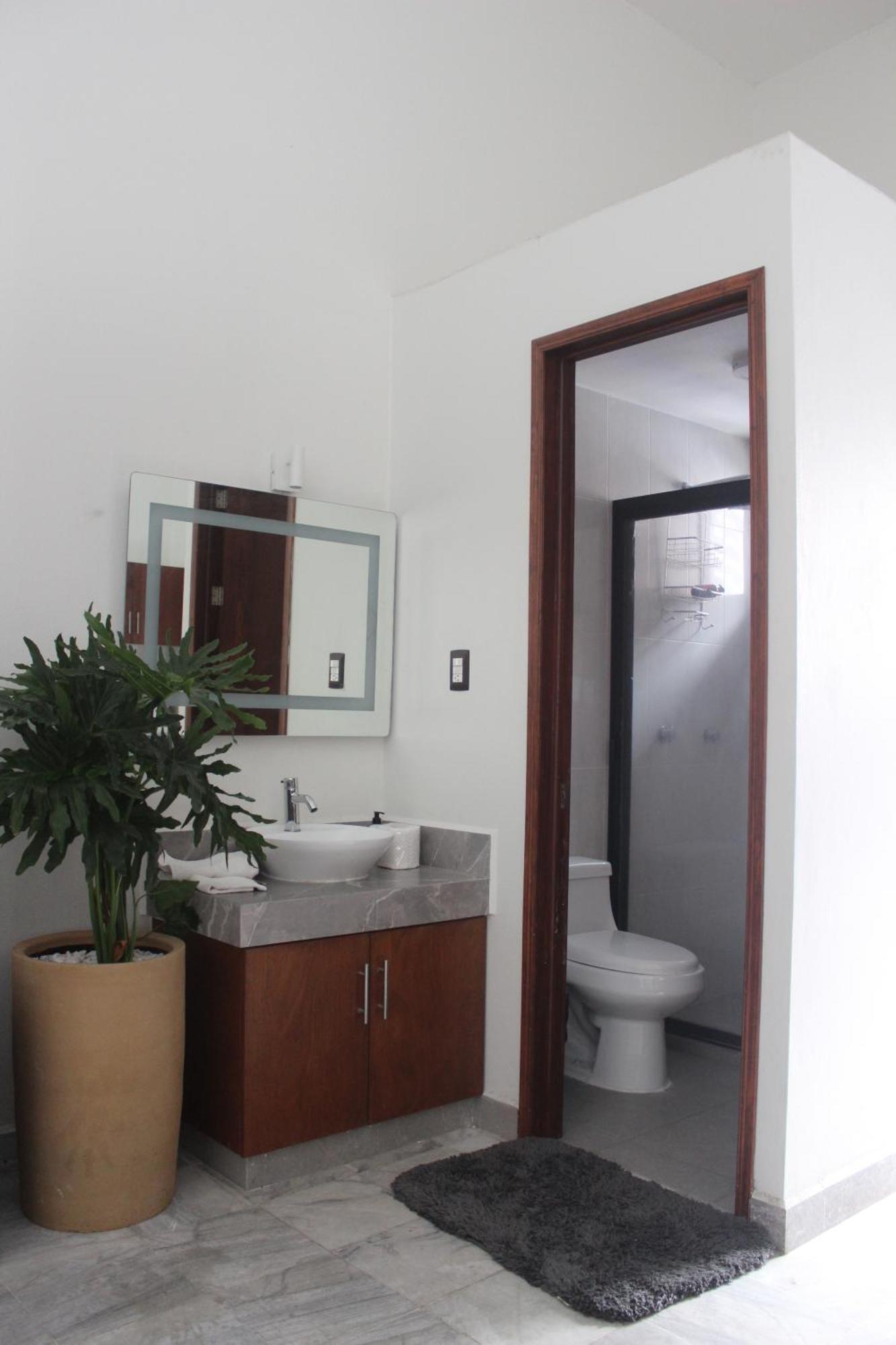 Suites Independencia Oaxaca Dış mekan fotoğraf